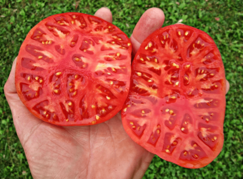 Томат Алсу: отзывы, фото, характеристика и описание сорта, достоинства и недостатки