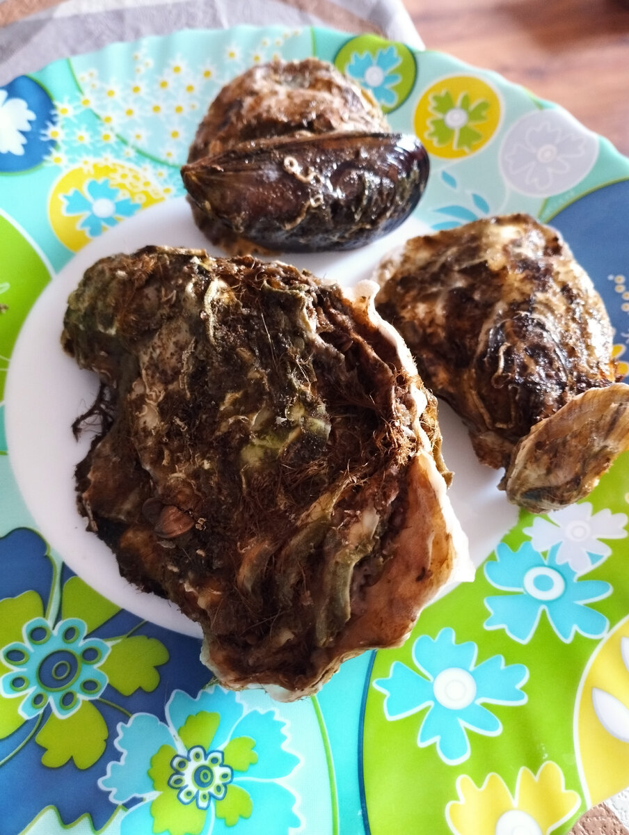 Устрицы из Донузлава