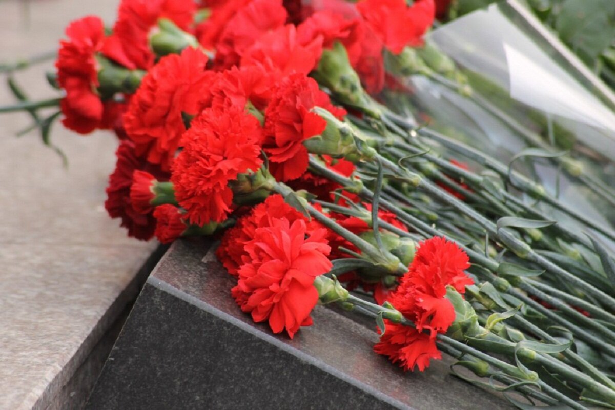Траурные гвоздики. Красные гвоздики. Гвоздики 9 мая. Гвоздики у обелиска. Гвоздики монумент.