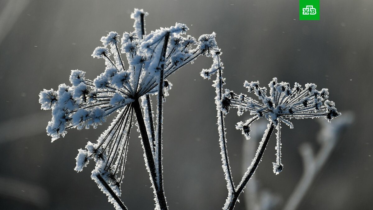    Фото: РИА Новости © 2022, Кирилл Каллиников