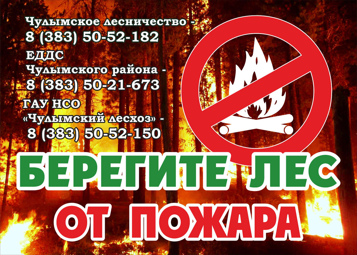 Аншлаг "Берегите лес от пожара"