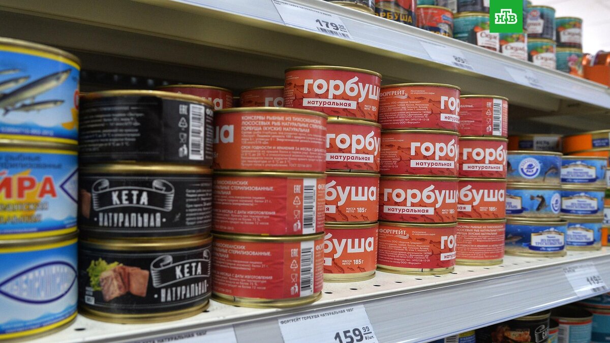    Фото: РИА Новости © 2022, Александр Кондратюк