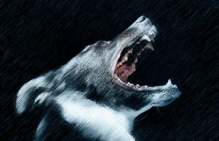 -2