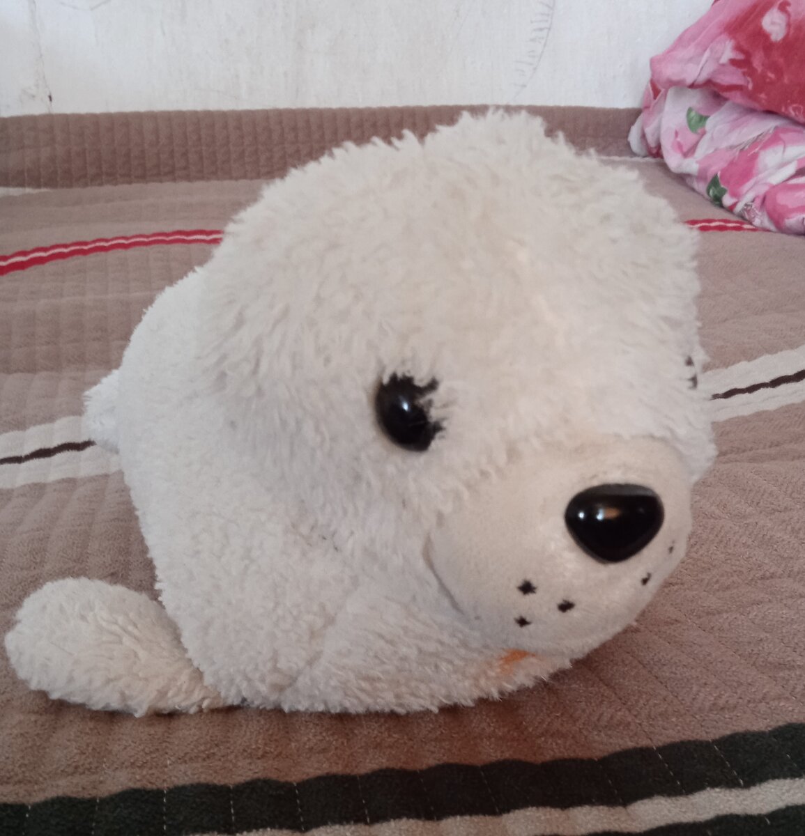 Нерпа по имени Нерпа. Одно время ею били брата, потом полюбили и заботятся о ней. 