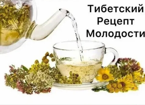 Тибетский Сбор, Днепр