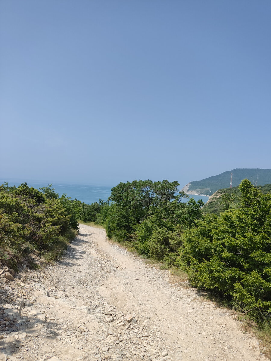 Дорога к морю