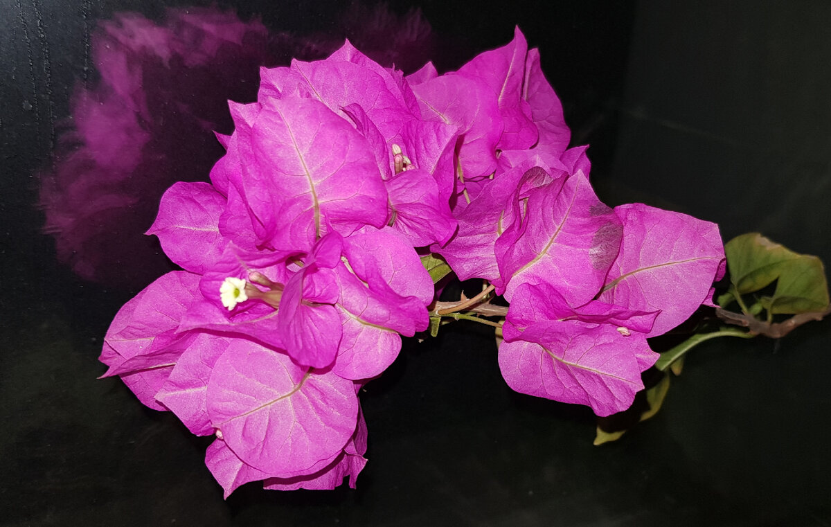 Фотография автора статьи.