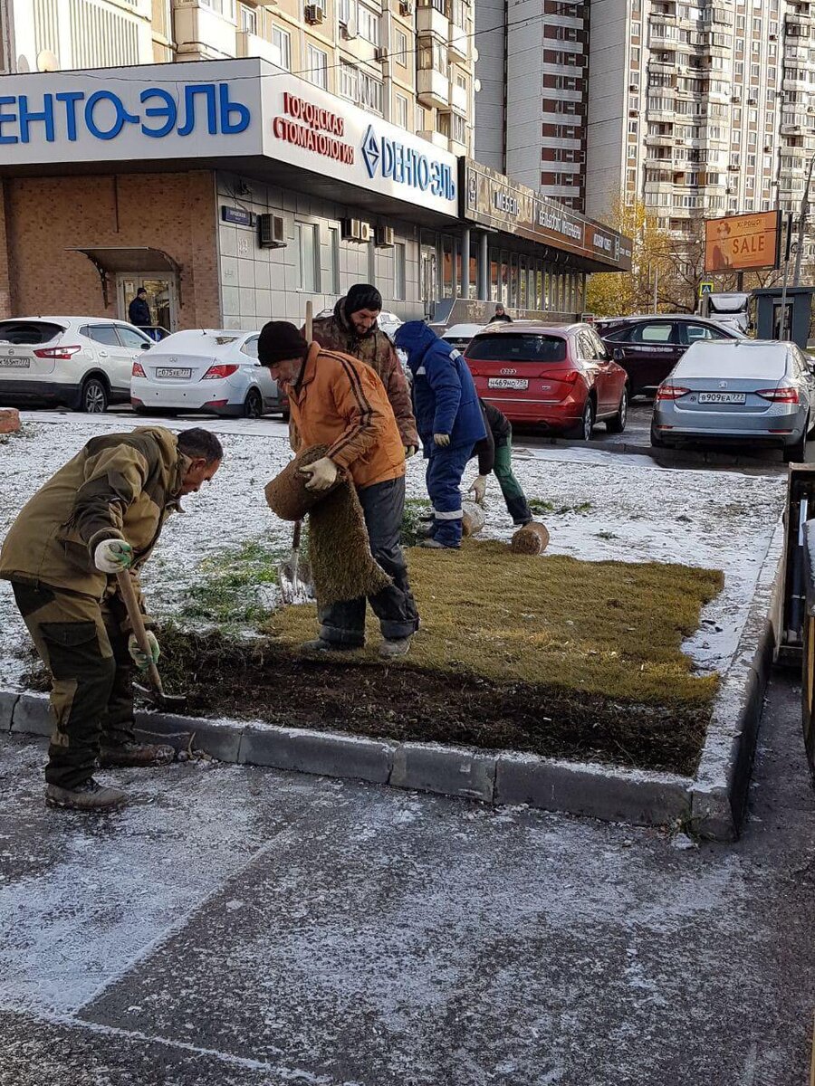 Современные дворники все-таки варвары. | Склерозник реалиста | Дзен