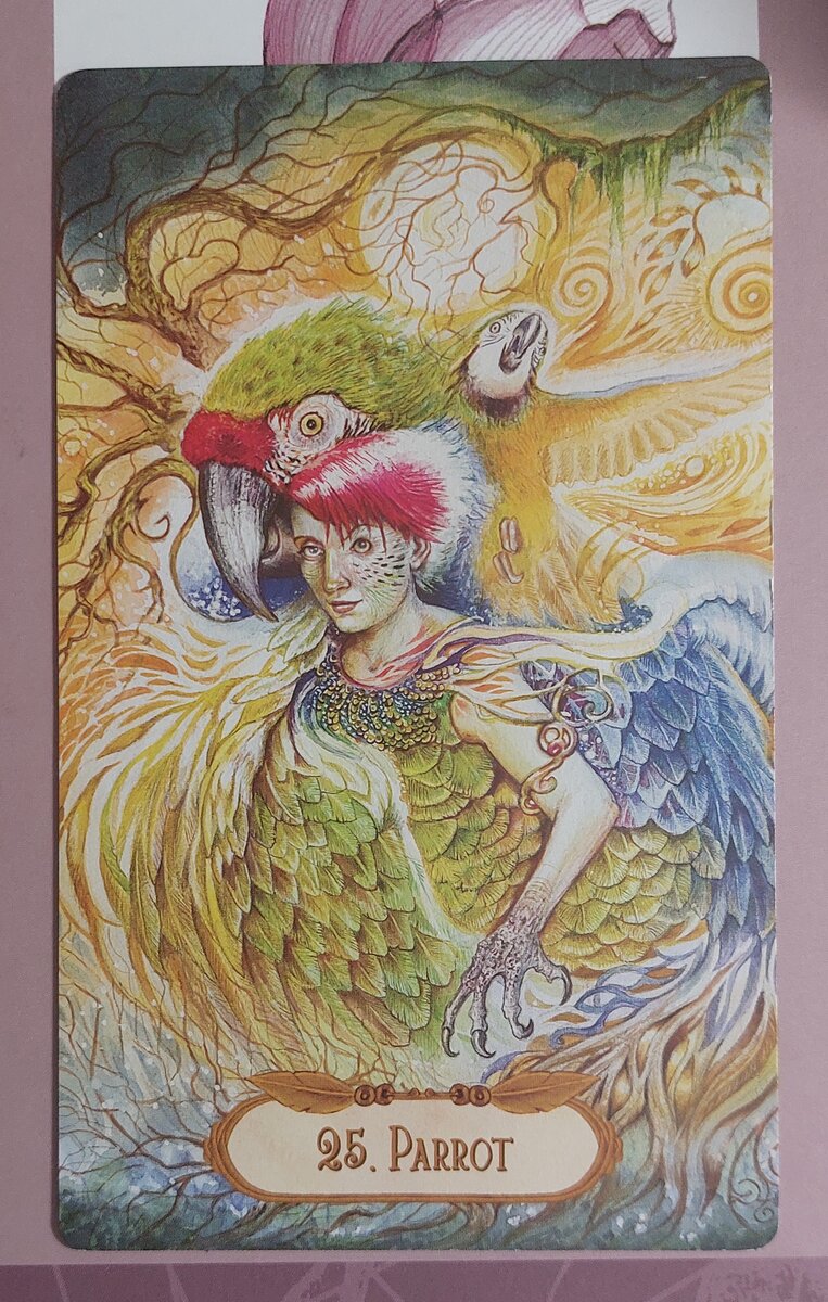 Колода: "The Winged Enchantment Oracle Deck" by Lesley Morrison & Lisa Hunt
