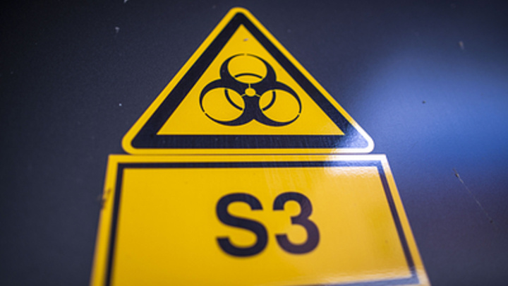 ФОТО: JENS BÜTTNER/GLOBALLOOKPRESS