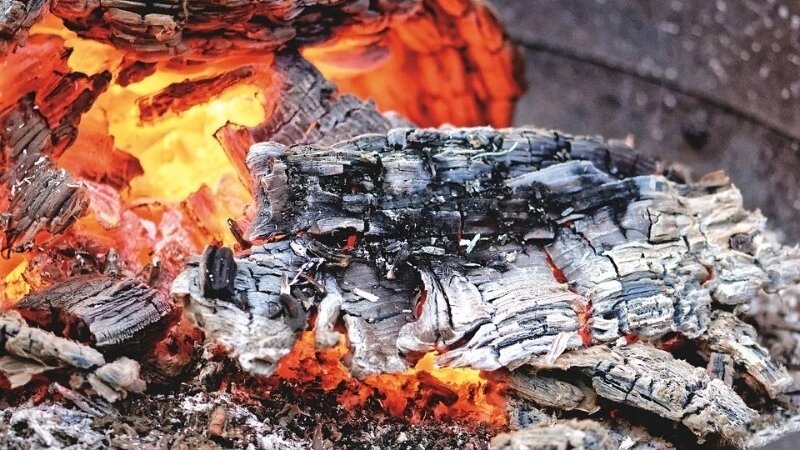 При сжигании различных пород дерева получается разное количество элементов