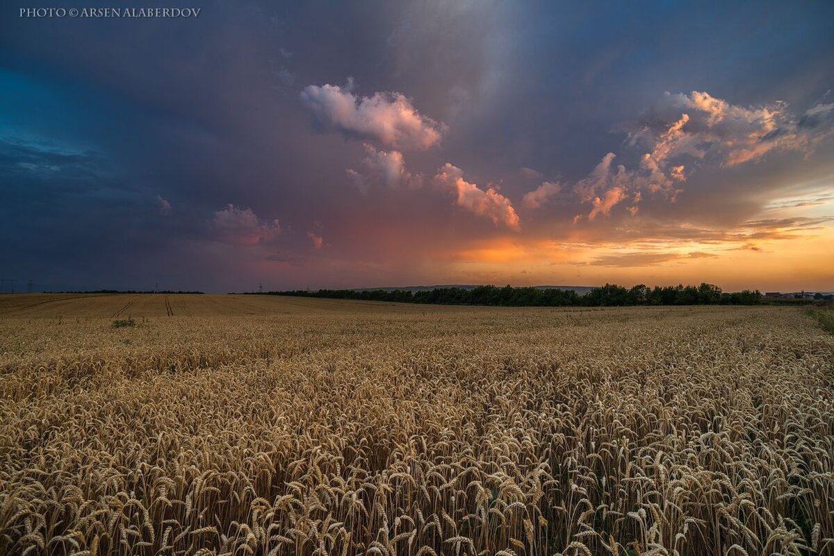 Яндекс.Картинки