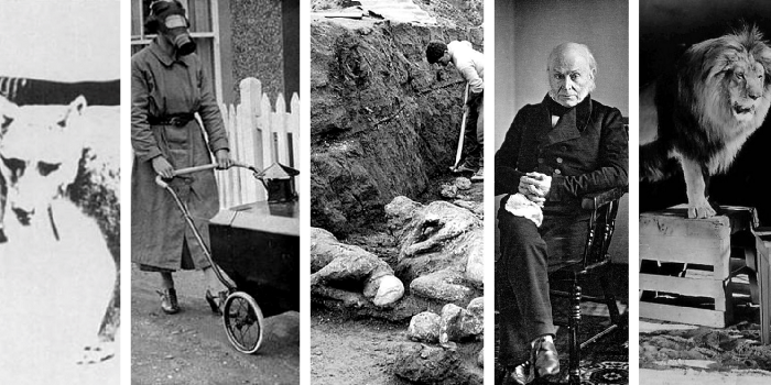 Source: Image by author/ C.C 2.0