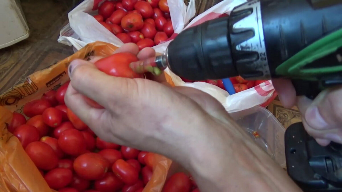Приспособление для быстрого удаления плодоножки у помидоров