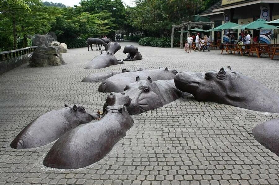 Фото из открытого источника 