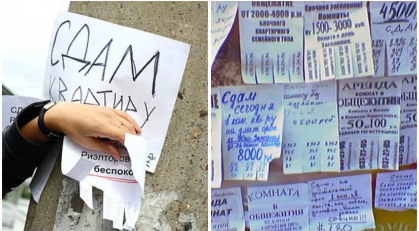 фото из открытых источников