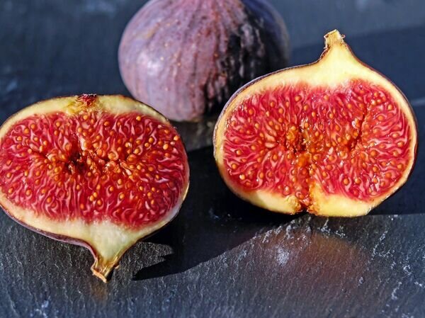   © CC0 / Public Domain Couleur / Pixabay