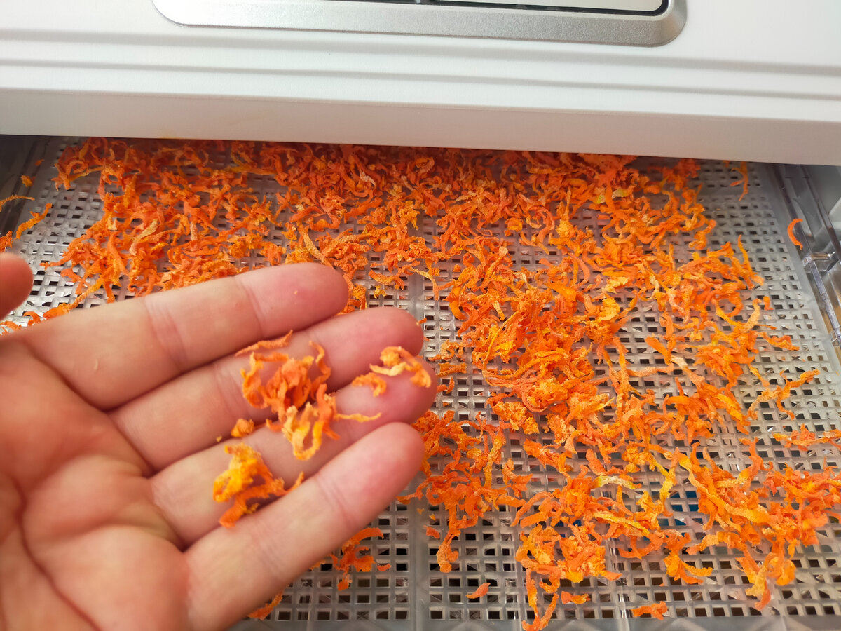 Личный архив 