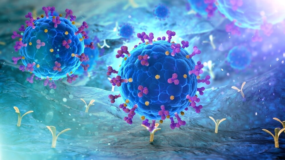   Фото: Shutterstock