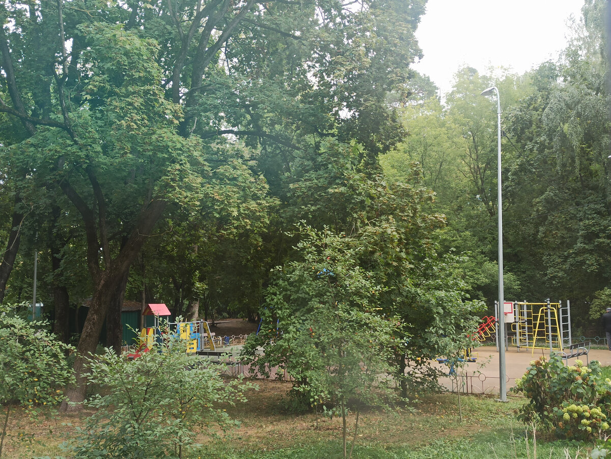 Наша детская площадка