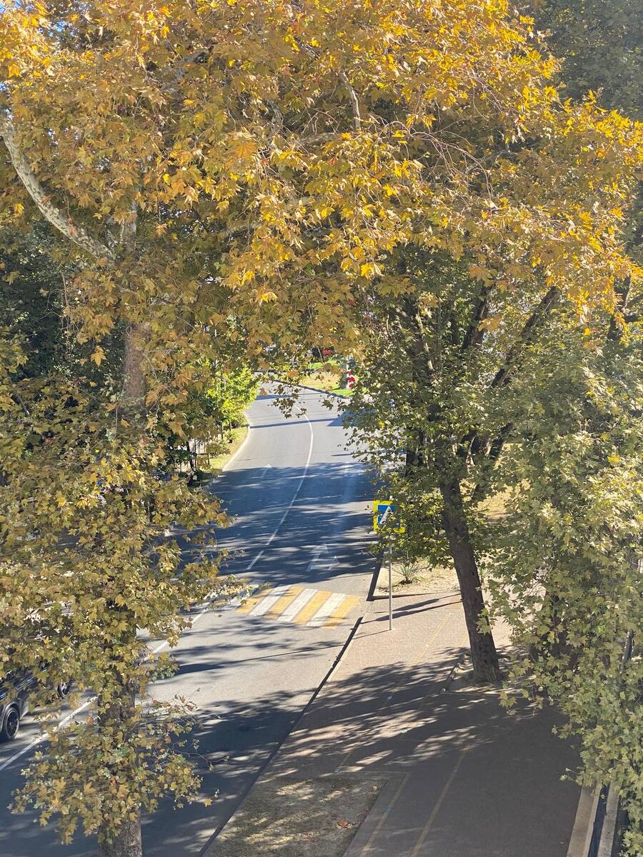 12 сентября 2022 прогноз астролога