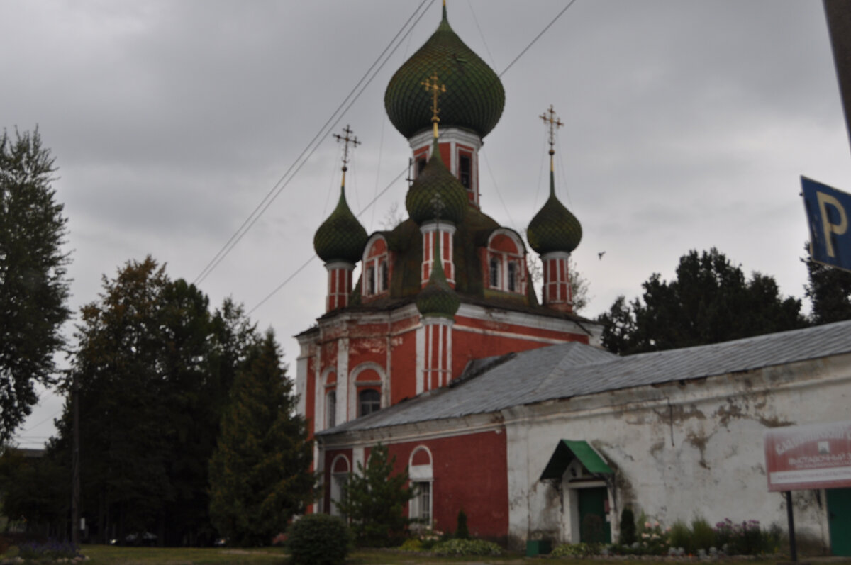 Переславль залесский сегодня. Переславль-Залесский. Переславль-Залесский Украина. Кедр Переславль-Залесский.