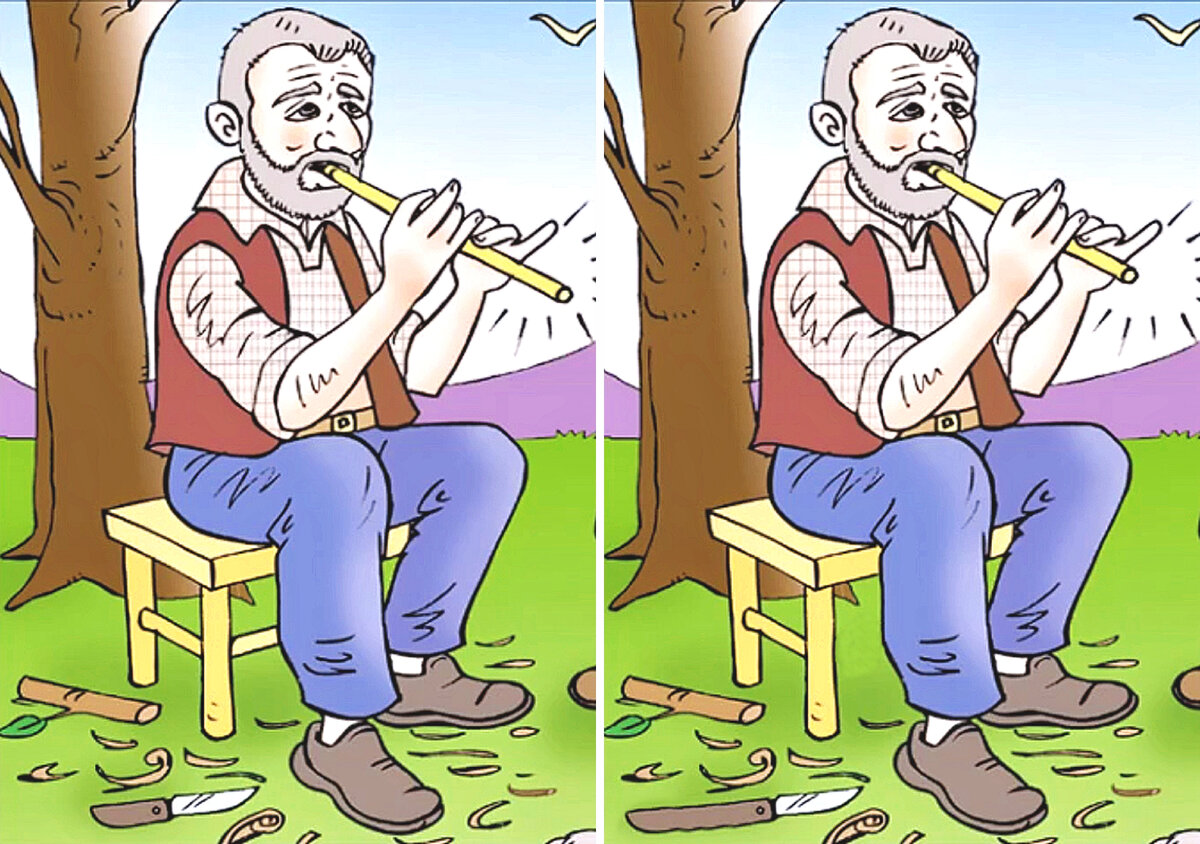 3 отличия