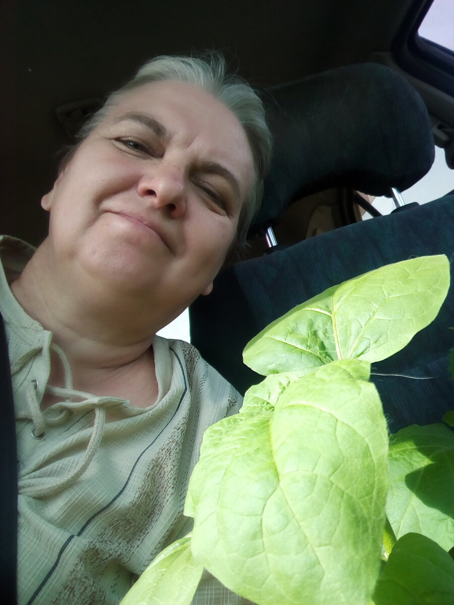 На дачу с другом-баклажаном!