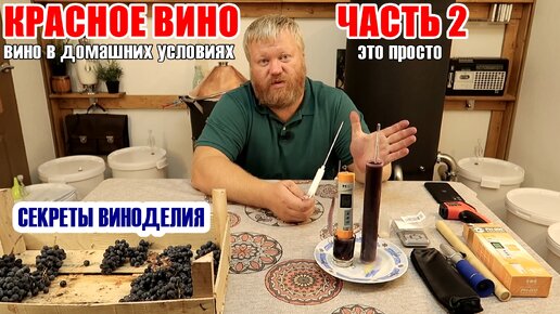 Как приготовить домашнее вино из винограда (красного или белого)