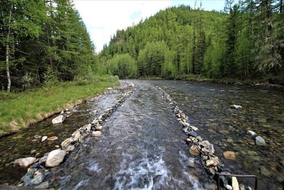    Фото: Павла Жовтюка, baikal-1.ru, nia.eco