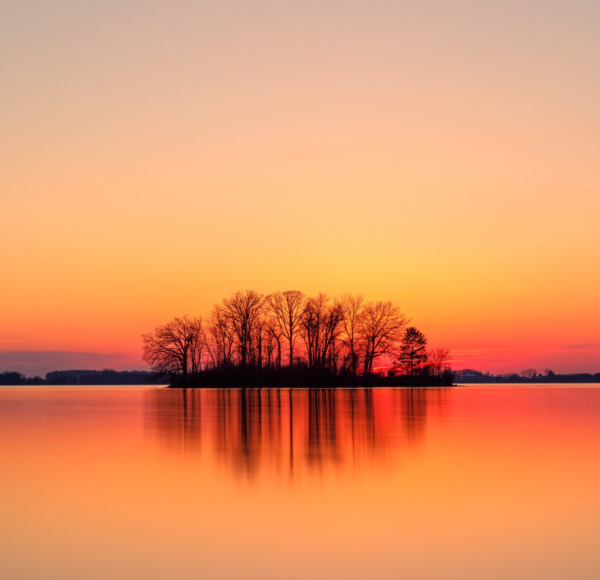 Фото: Dave Hoefler