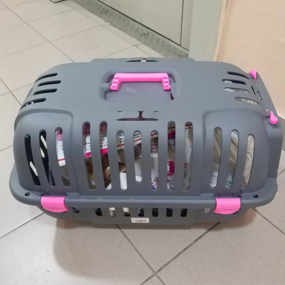 В эту новую переносочку влезут даже самые большие жопушки нашего приюта 😅