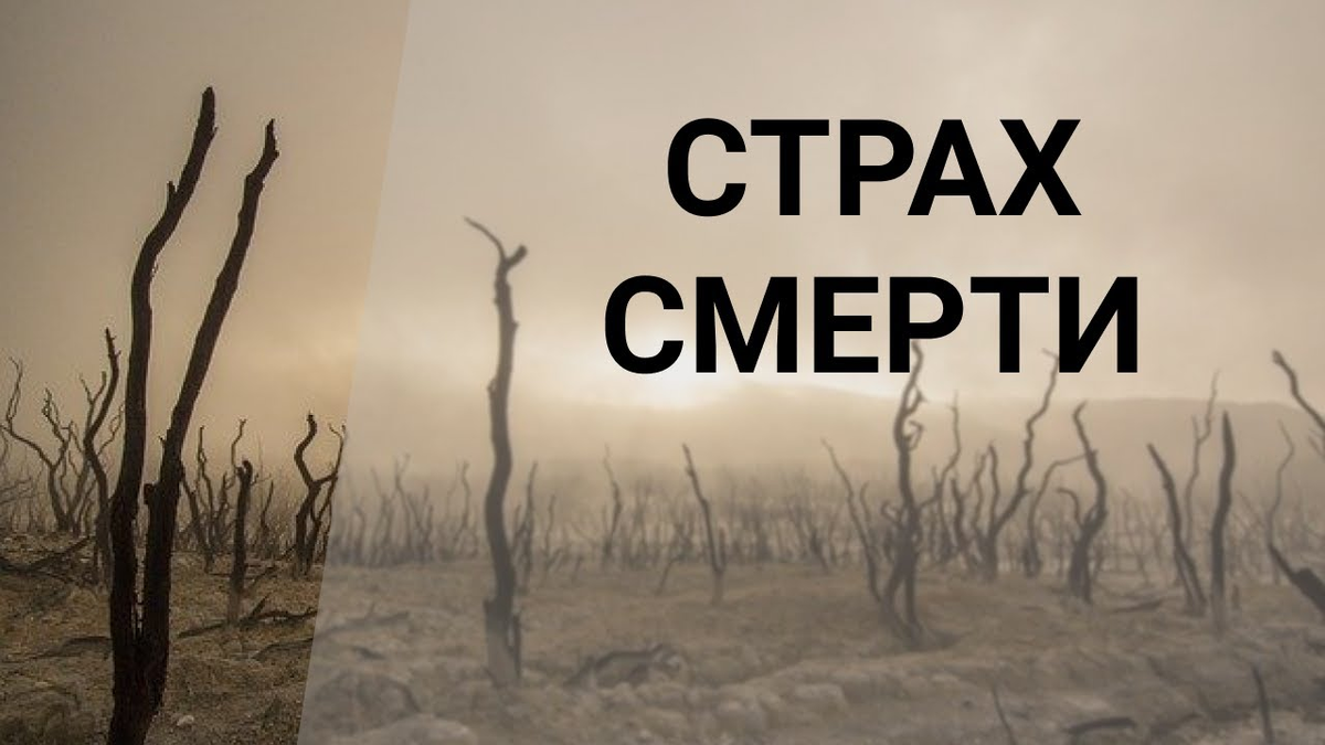 Страх смерти картинки