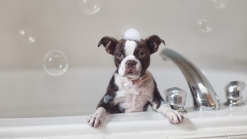   Gettyimages.ru Rebecca Nelson