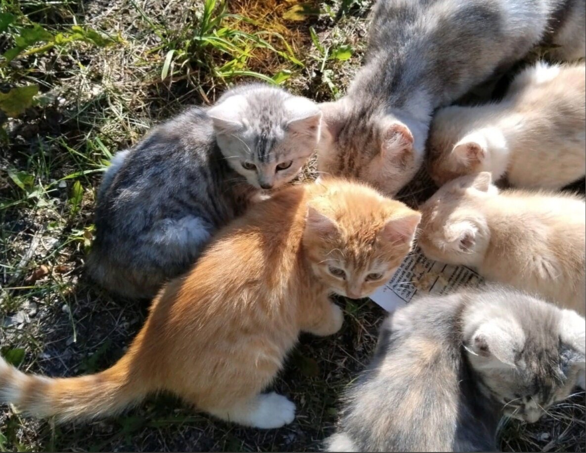 Мы рады, что многочисленное семейство быстро разъехалось по домам