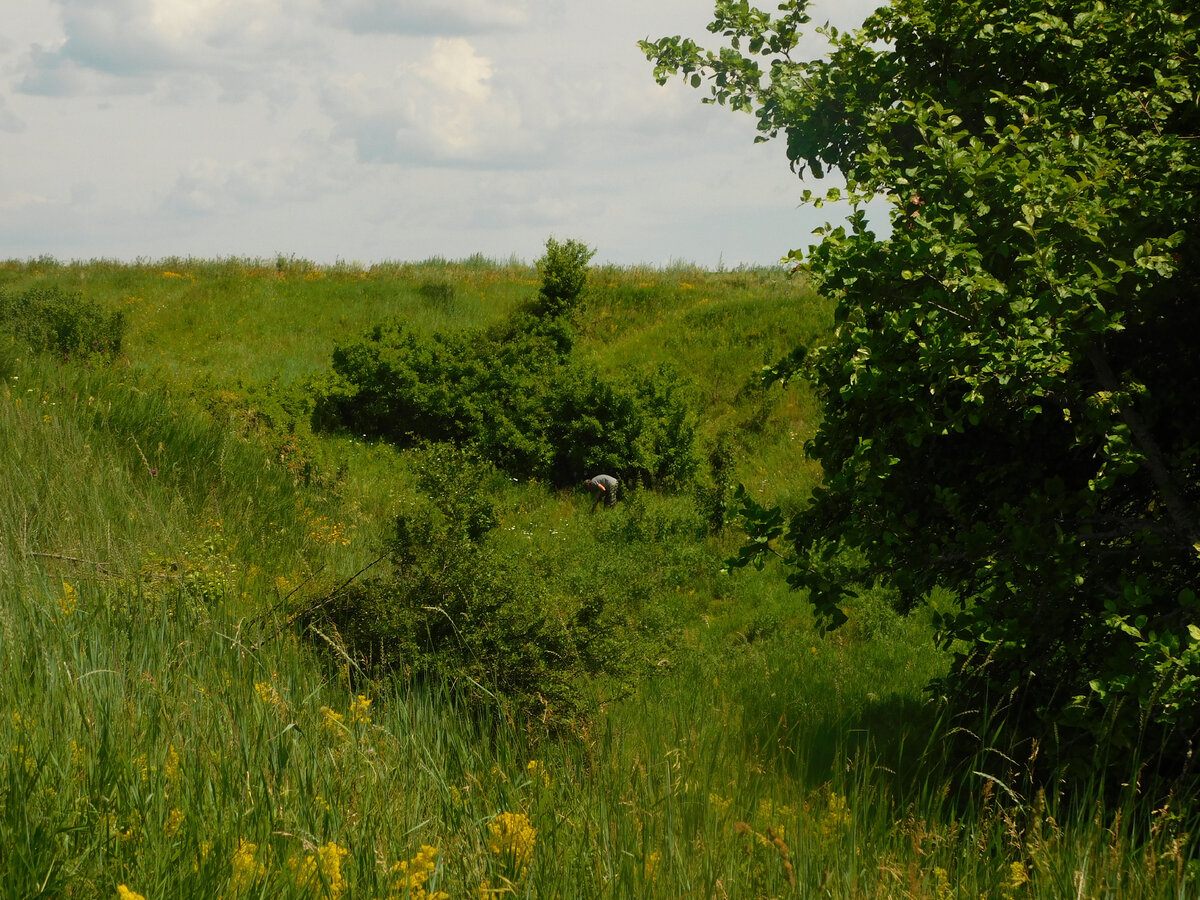 Фото автора канала