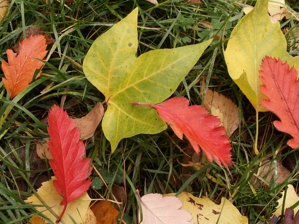   ГТРК "Ставрополье"