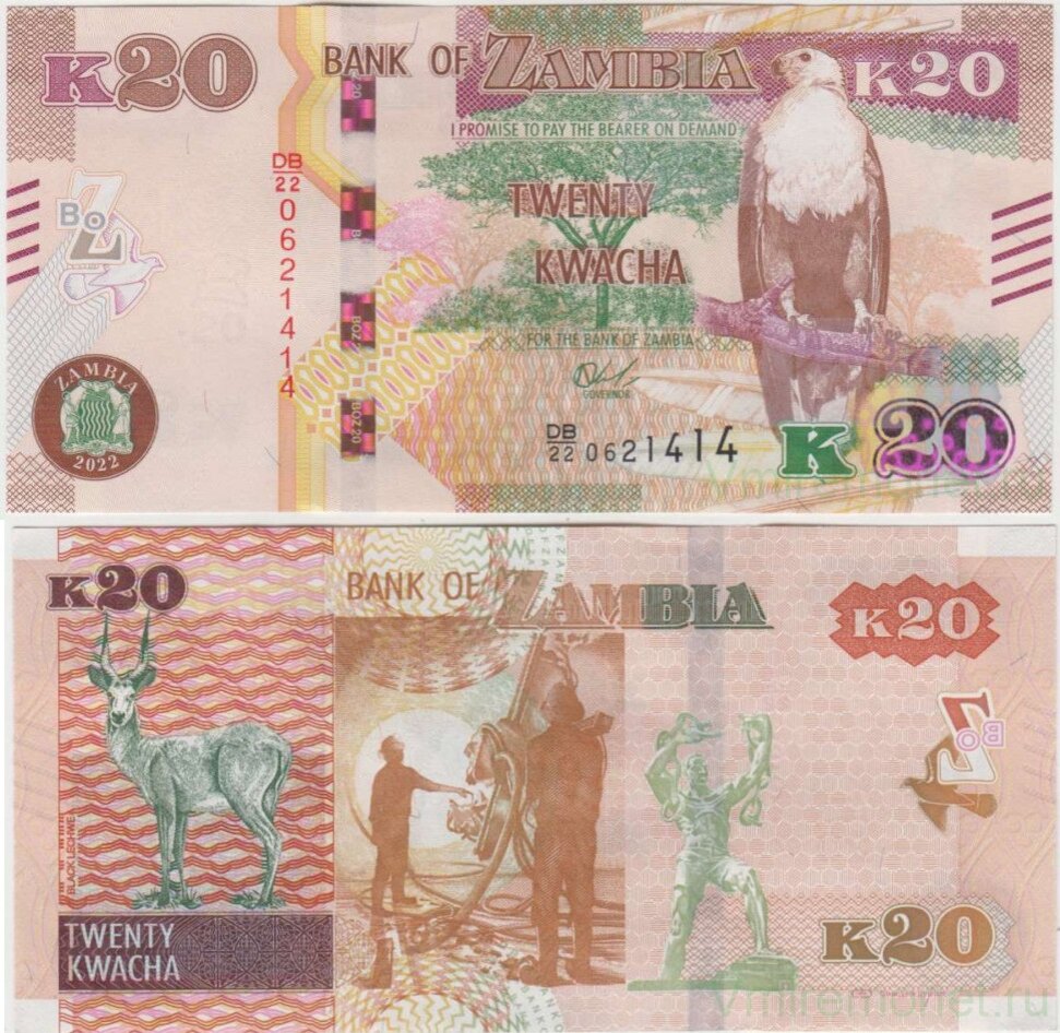 В прошлом году Замбия напечатала новые банкноты, усилив их защиту и заменив год на 2022-й. И, хотя радикально ничего не изменилось, повод поговорить о бонах этой южноафриканской страны у нас появился.-5