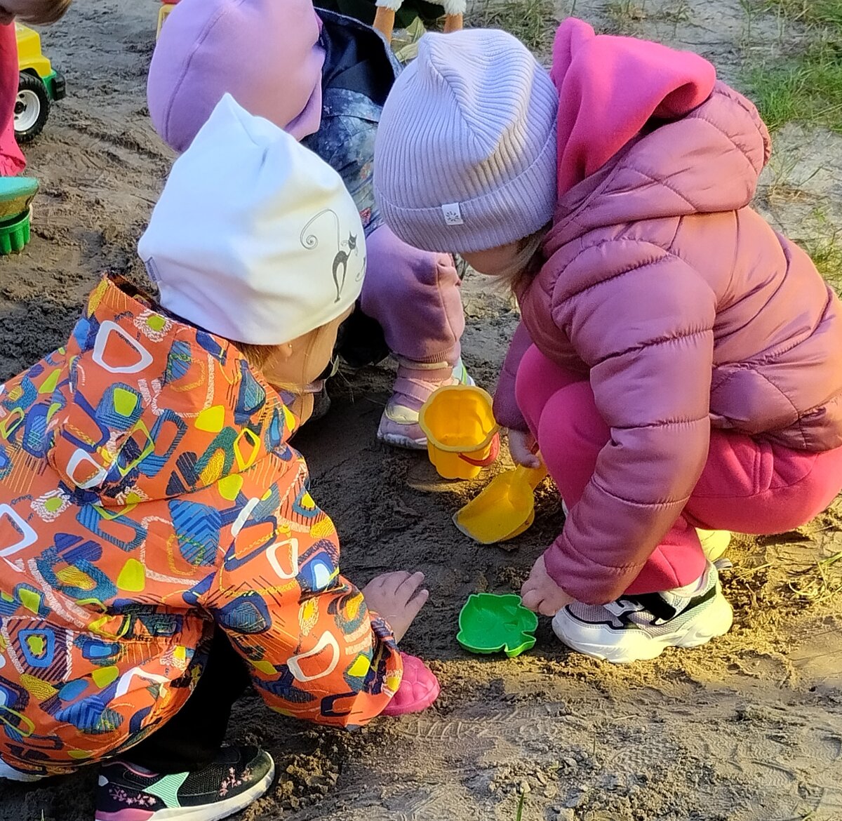 Мои цыплята