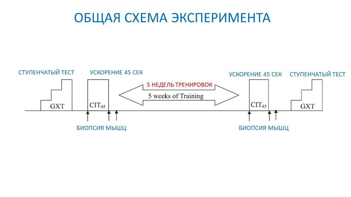 Рисунок 2. Схема эксперимента.