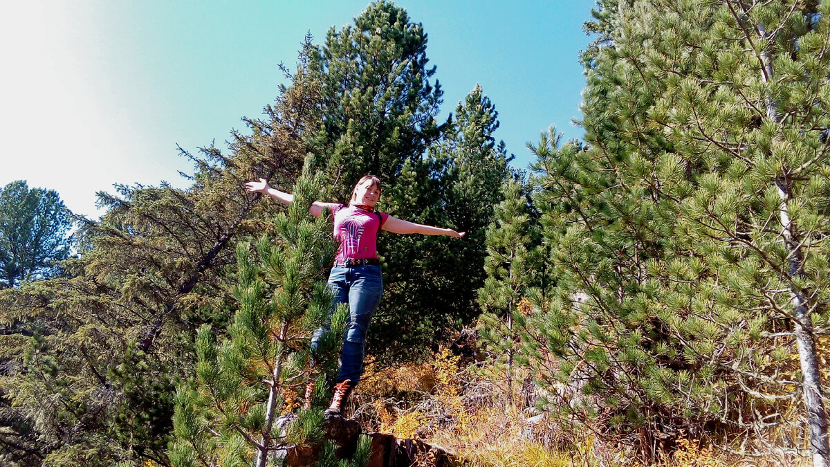 Пошли искать кедровые шишки