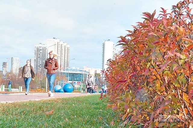    Когда в Москве похолодает?