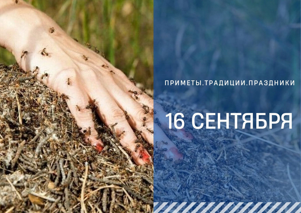 Народные приметы на 16 июня 2024 года. Приметы на сегодняшний день что нельзя делать.