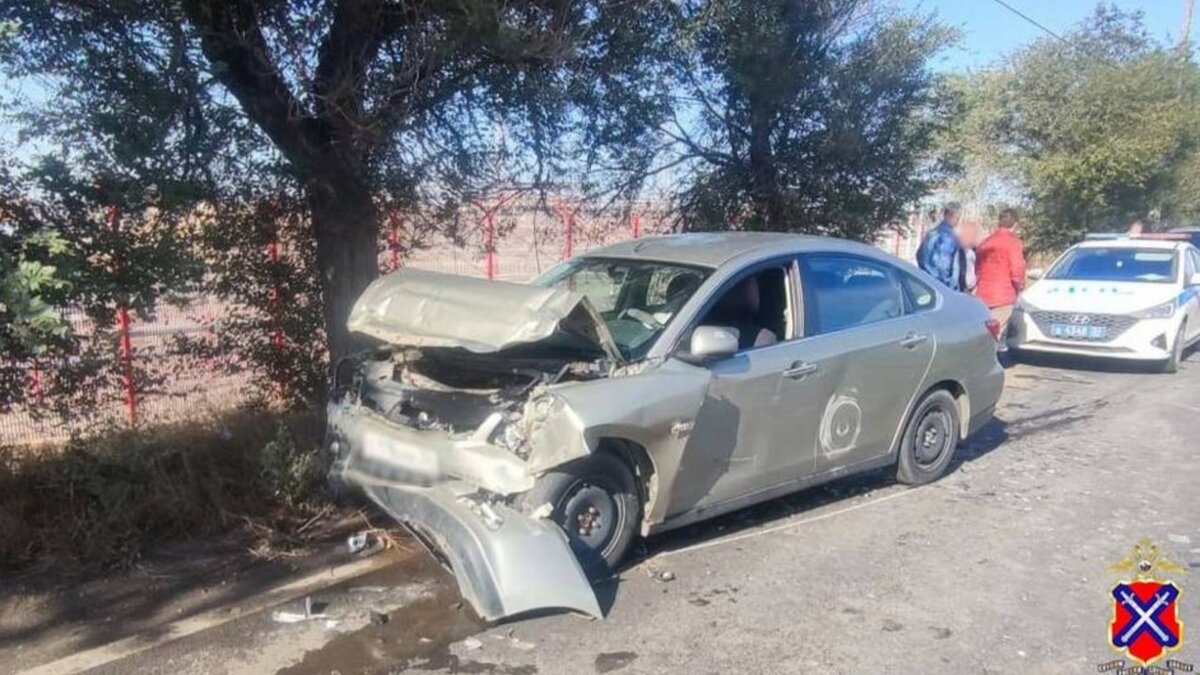     Двое человек пострадали в массовом ДТП со спецтехникой и легковушкой на юге Волгограда, сообщает региональное ГУ МВД.