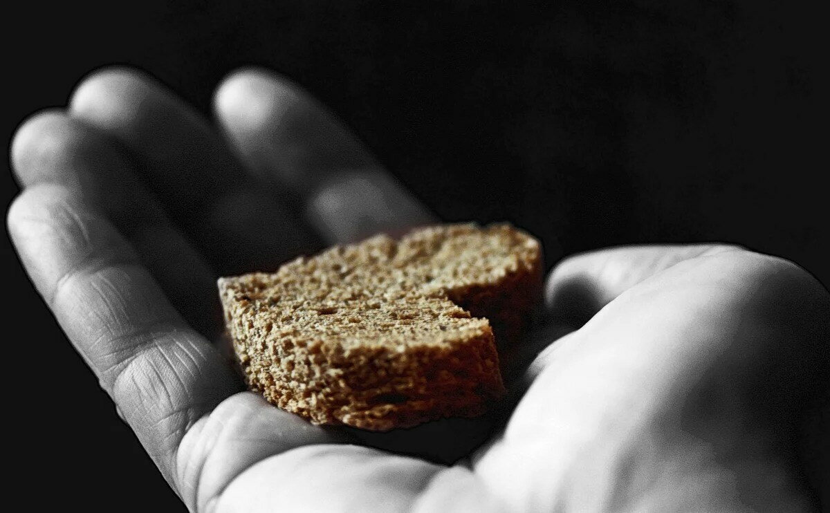 Фото из свободного доступа сети Интернет