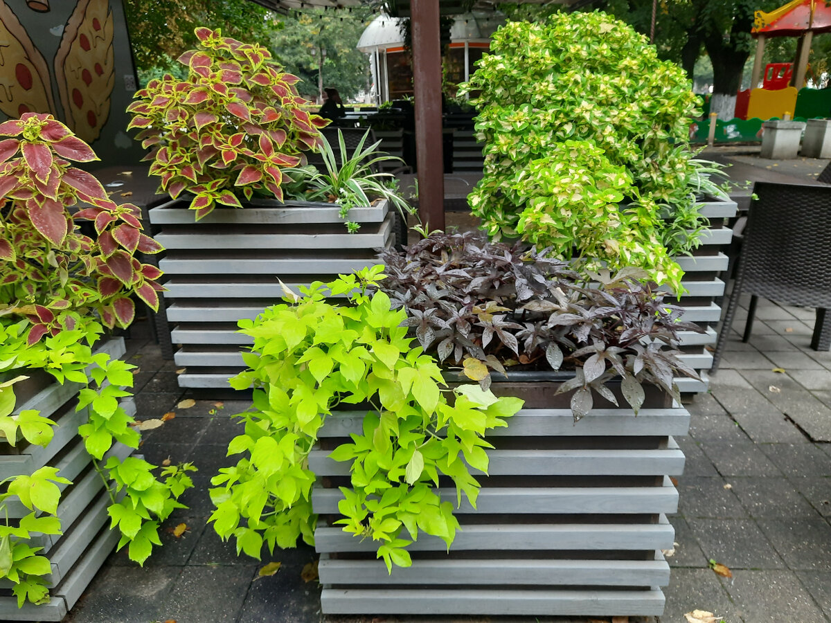 Фото от автора