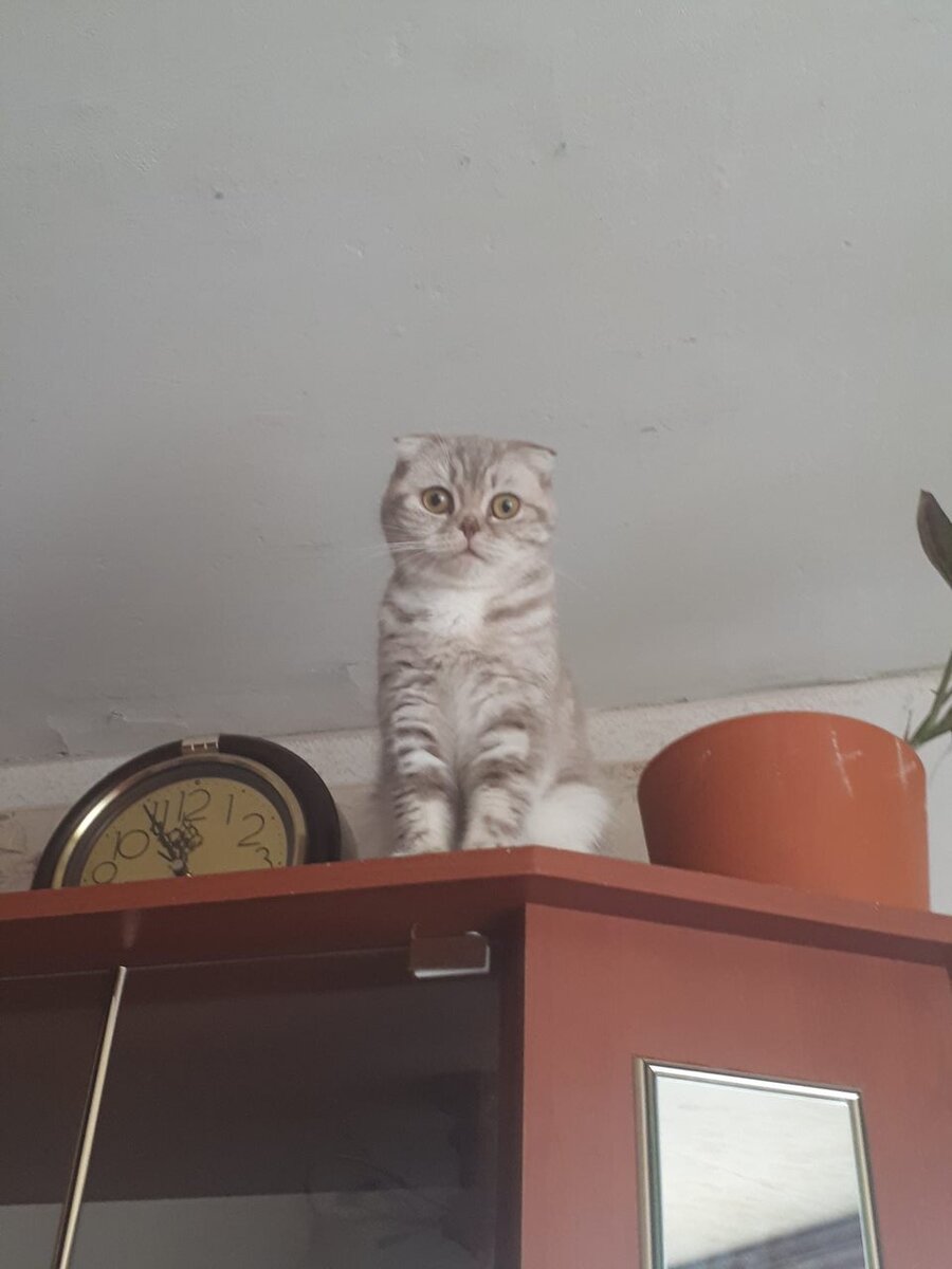 Фото из личного архива 