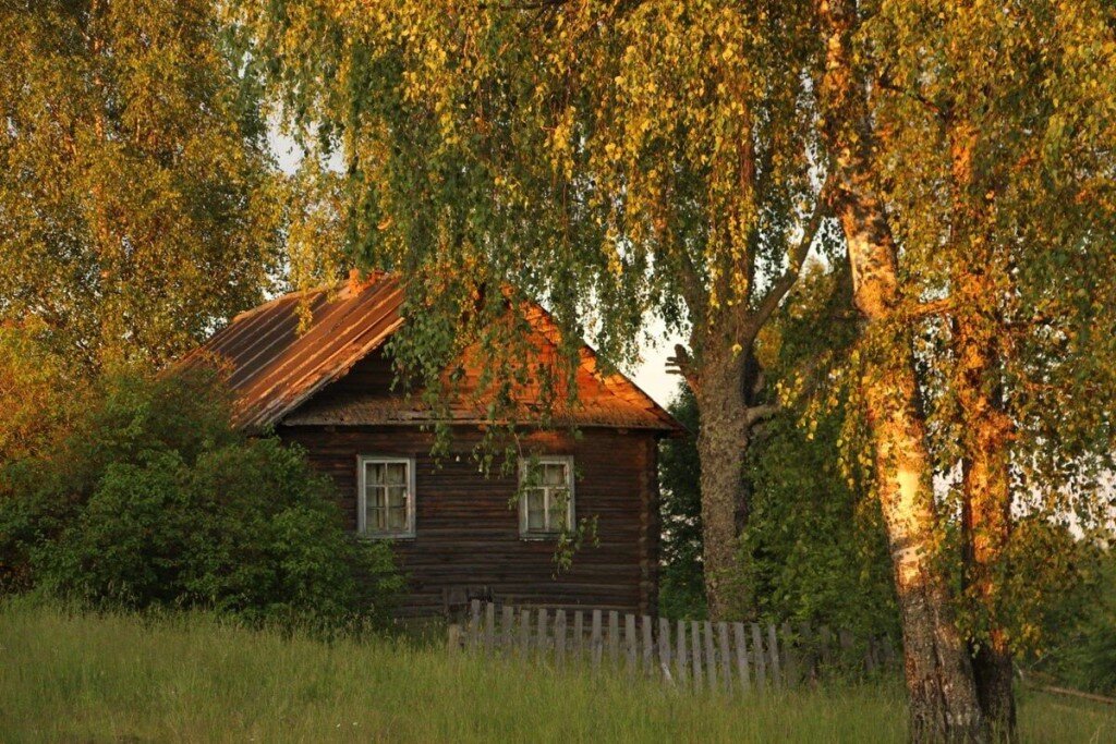 Источник фото - https://ok.ru/krasnobor/topic/152674077231299
