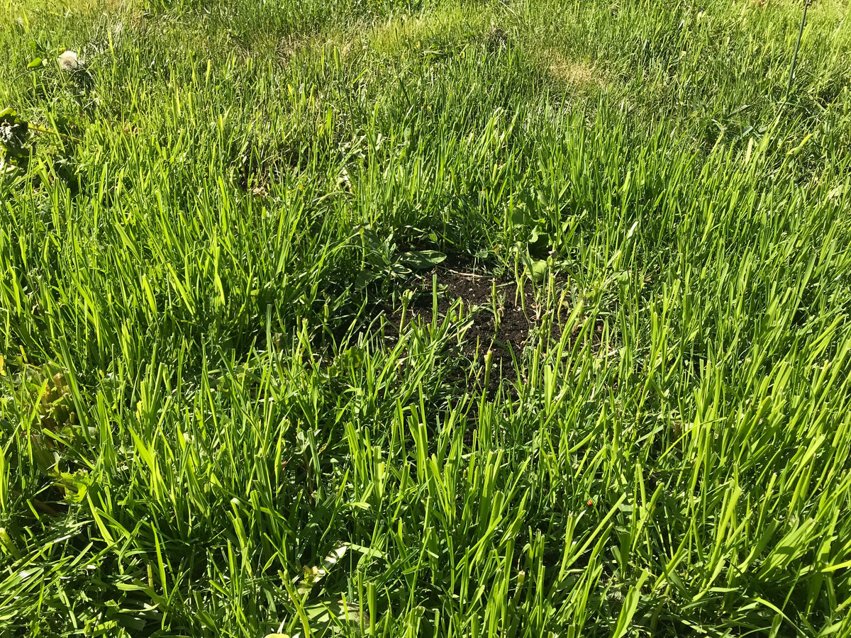 Есть небольшие места, в которых необходимо приложить усилия 