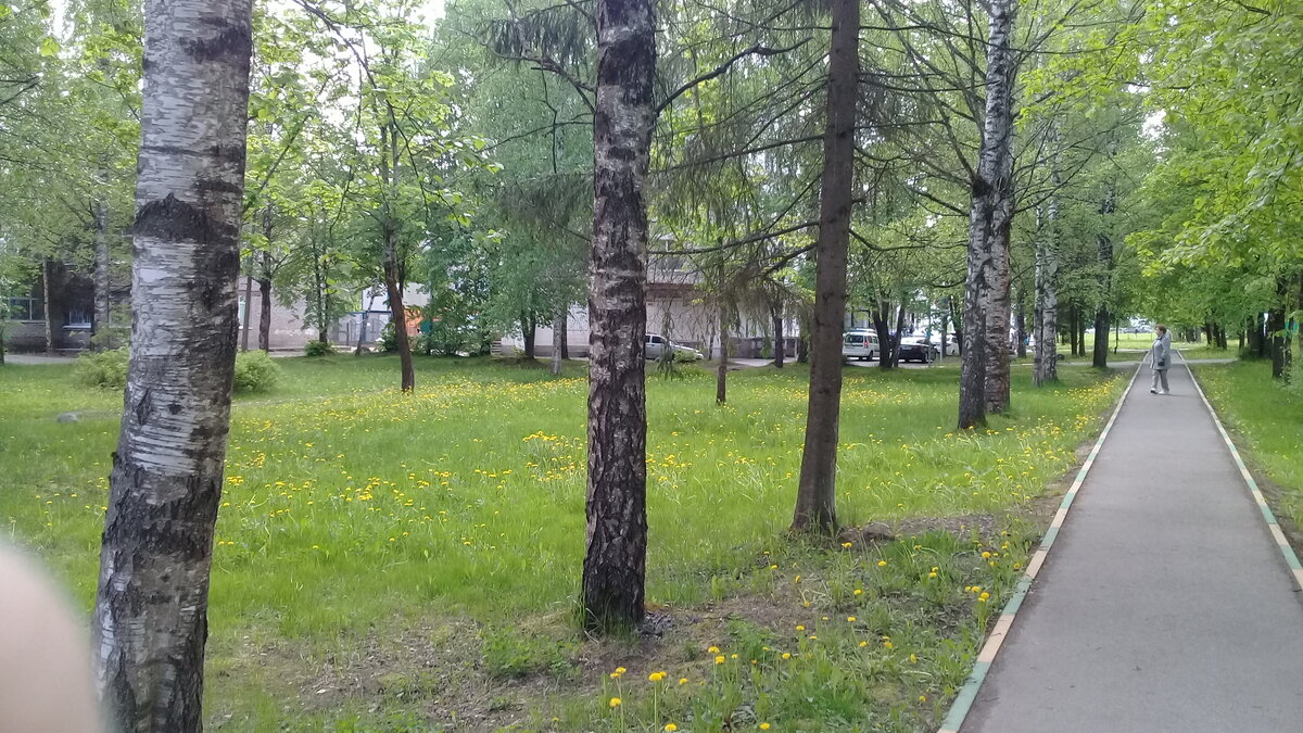 Парк около больницы 